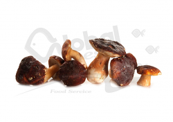 FUNGHI PORCINI SECONDA EUROPA CO