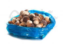 FUNGHI PORCINI EUROPA 5kg CO