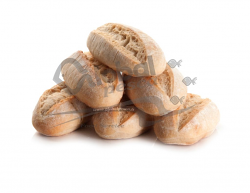 BOCCONCINO RUSTICO LIEVITO MADRE 40g AGRITECH