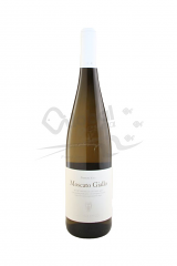 MOSCATO GIALLO TRENTINO DOC | 6 BT X 750 ml 2018 CANTINA D'ISERA 12°