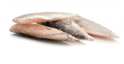 SGOMBRO FILETTO 120-160g #