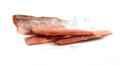 TROTA IRIDEA SALMONATA FIL TURCHIA 110-160 #