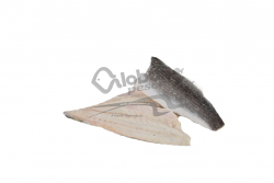 BRANZINO FILETTO 200/300  #