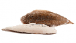 SOGLIOLA INTERA 3A 350-400g 3,5kg