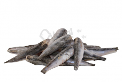 ALICE FILETTO MEDITERRANEO 3,6 kg