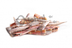 FRITTO MISTO ADRIATICO 2,5kg