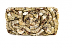 MAZZANCOLLA TROPICALE CODA 31/35 RC OROBLANCO