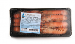 SCAMPO INTERO 8/12 OLANDA