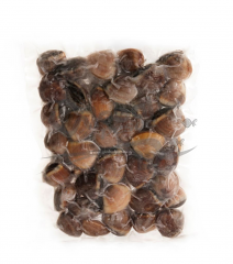 VONGOLA DEL PACIFICO SCURA PRECOTTA