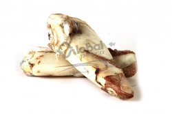 CALAMARO MAROCCO 16/20  3P IQF