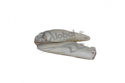 CALAMARO PULITO MAROCCO 16/20 2P IQF 1X5 kg