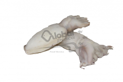 SEPPIA PULITA INGHILTERRA 500/1000 g IQF #