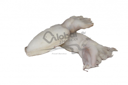 SEPPIA PULITA INGHILTERRA 500/1000 g IQF #