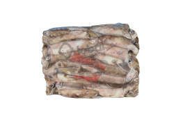 CALAMARO PATAGONICO C4LL 13/16 X5kg