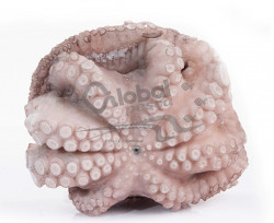 POLPO MAROCCO T3 2-3kg IQF