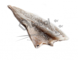 BACCALA' (MERL.SALATO) 4/7