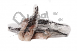 RANA PESCATRICE OCEANICA SUD AFRICA 150/300