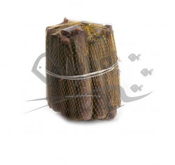 CANNOLICCHIO OCEANICO FR