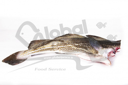 MERLUZZO NORDICO GABILAU  DECAPITATO FR