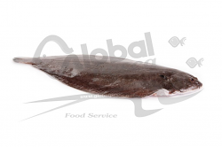 SOGLIOLA 3A EVISCERATA NL 200-260 g FR