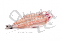 TROTA IRIDEA SPACCATA CON TESTA FR