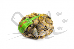 VONGOLA VERACE EXTRA FR