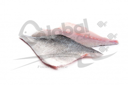 ORATA 200/280 FIL SQUAMATO 45/60 g FR