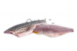 PERSICO SPIGOLA FILETTO SQUAMATO 80/100 g FR