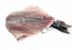 ORATA 300/380 SPACCATA SENZA TESTA FRESCA