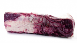 BOVINO AD CONTROFIL POLONIA S/V FR