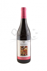 VERDUNO PELAVERGA DOC | 6 BT X 750 ml 2019 BELCOLLE 14°