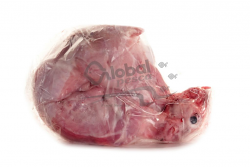 CONIGLIO 1X1,6kg  FR