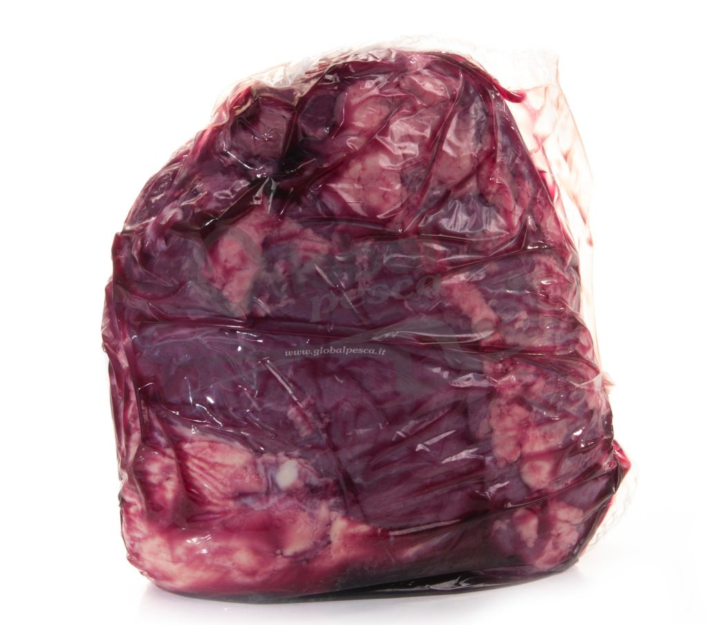 VITELLONE Z (8-12 MESI) SCAMONE FR