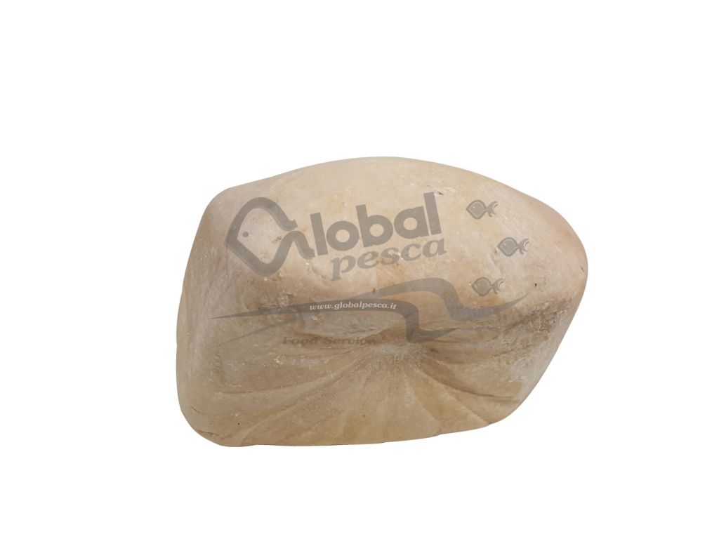 FORMAGGIO PECORINO DI FOSSA FORMA X 2 kg LC