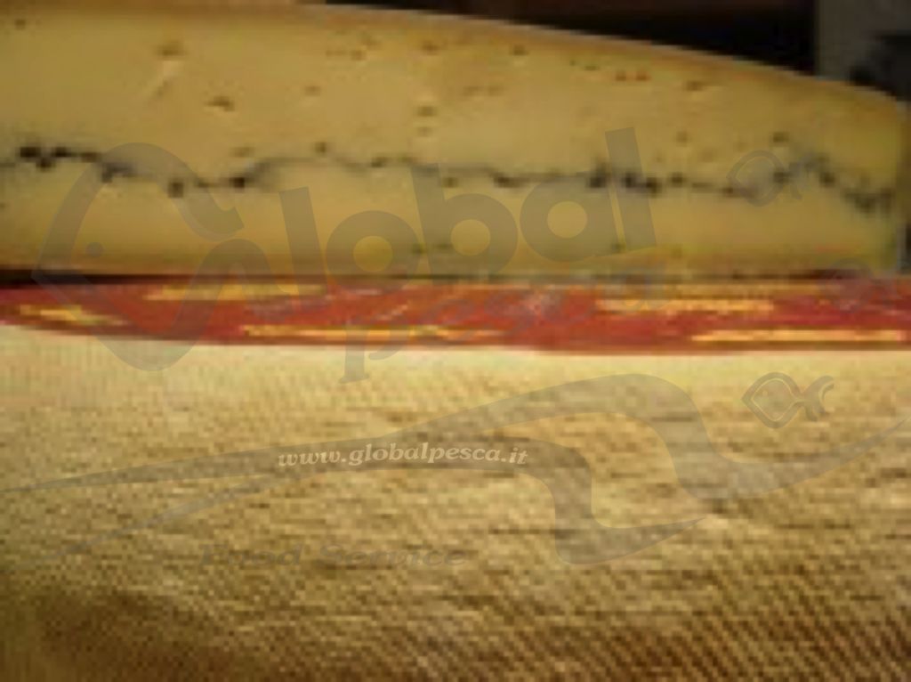 FORMAGG.MORBIER AOC AFFINE 5-8 MESI 1/2 FORM 3kgLC