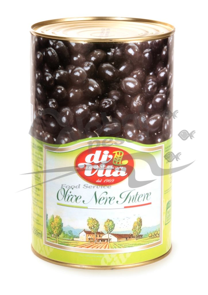 OLIVE NERE 5/1 DV