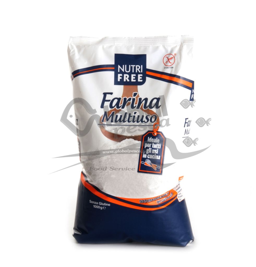 FARINA MULTIUSO  6X1kg NTFOOD SENZA GLUTINE
