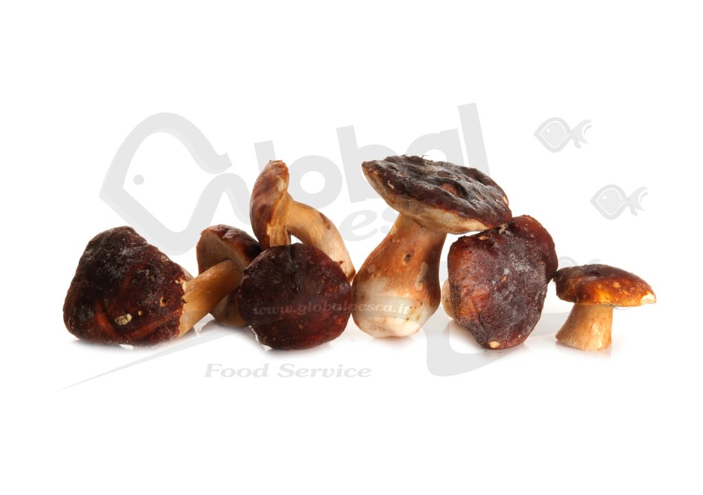 FUNGHI PORCINI SECONDA EUROPA CO