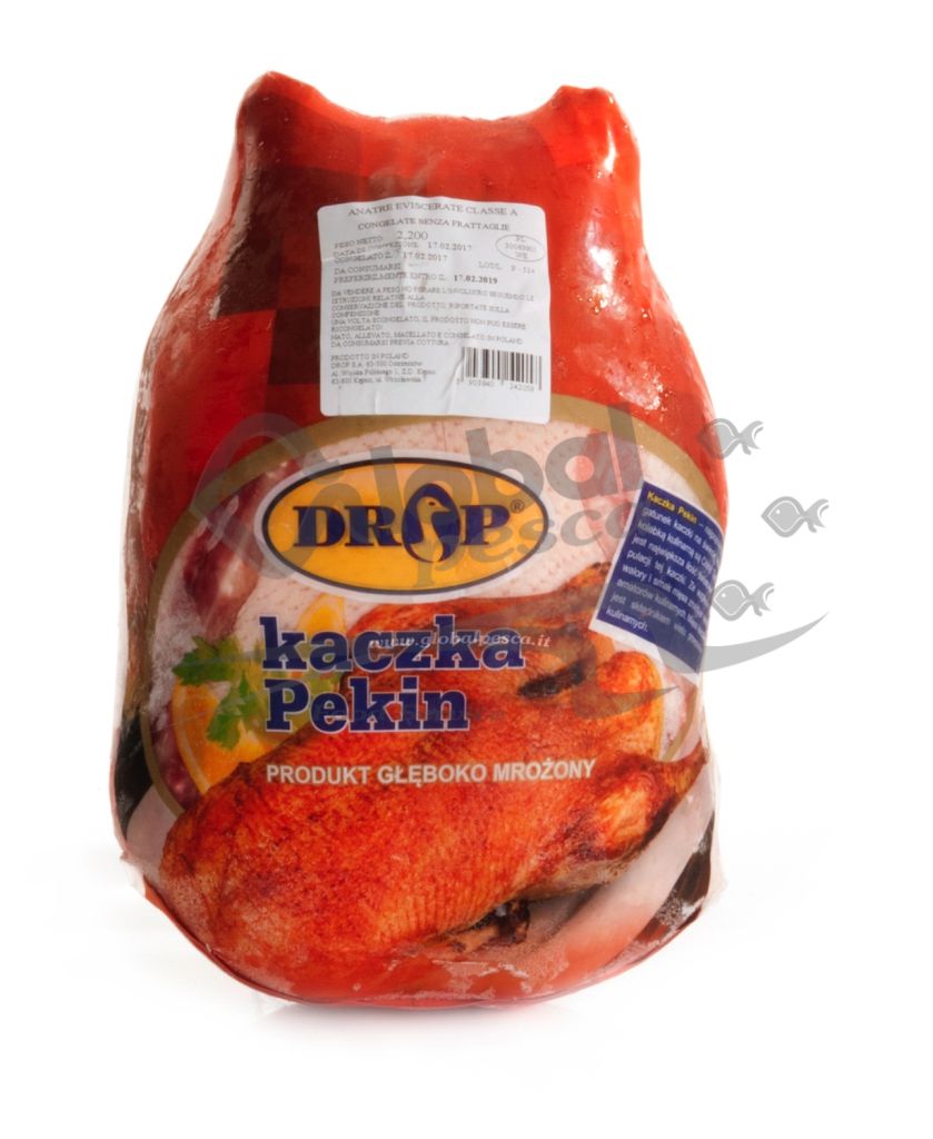 ANATRA BUSTO UNGHERIA CO