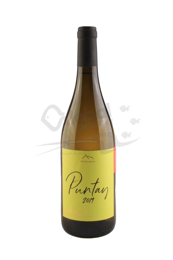 SAUVIGNON A.A. PUNTAY DOC | 6 BT X 750 ml 2019 ERSTE+NEUE 14°