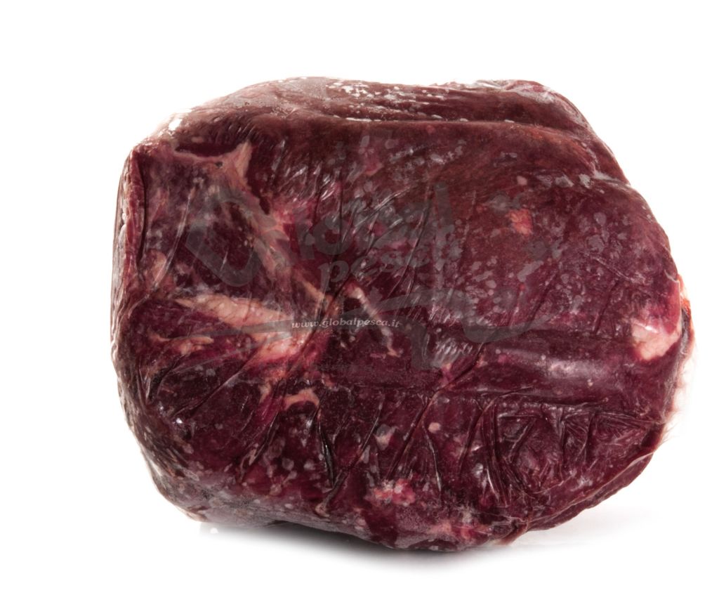 BOVINO AD REALE (SOTTOSPALLA) CO