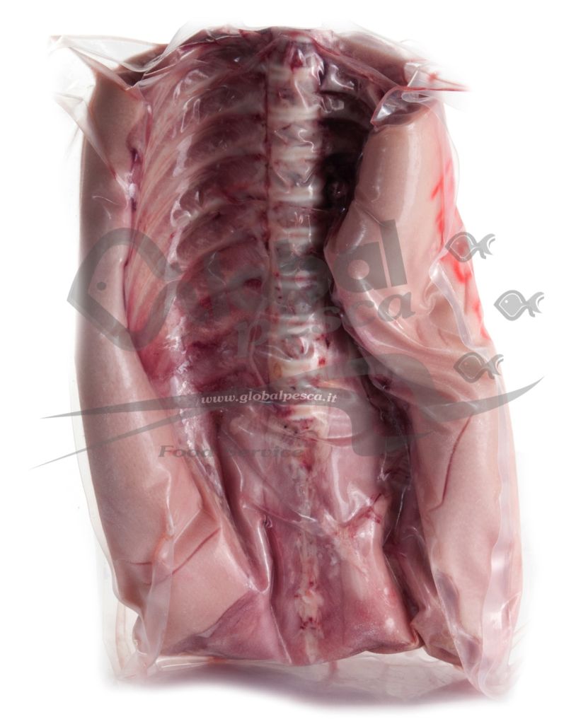 MAIALINO SELLA MY PINKY CO