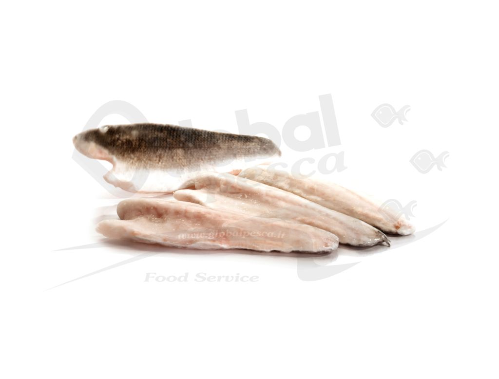 BRANZINO FILETTO 120-160g  #