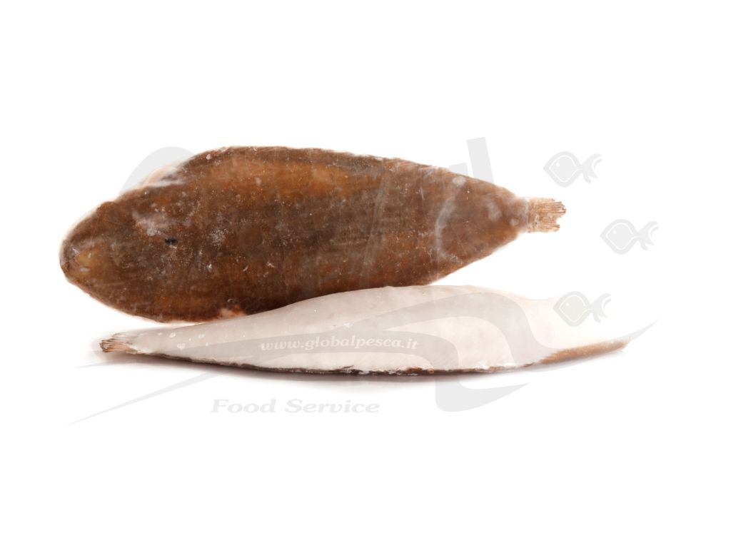 SOGLIOLA INTERA 2A 7kg