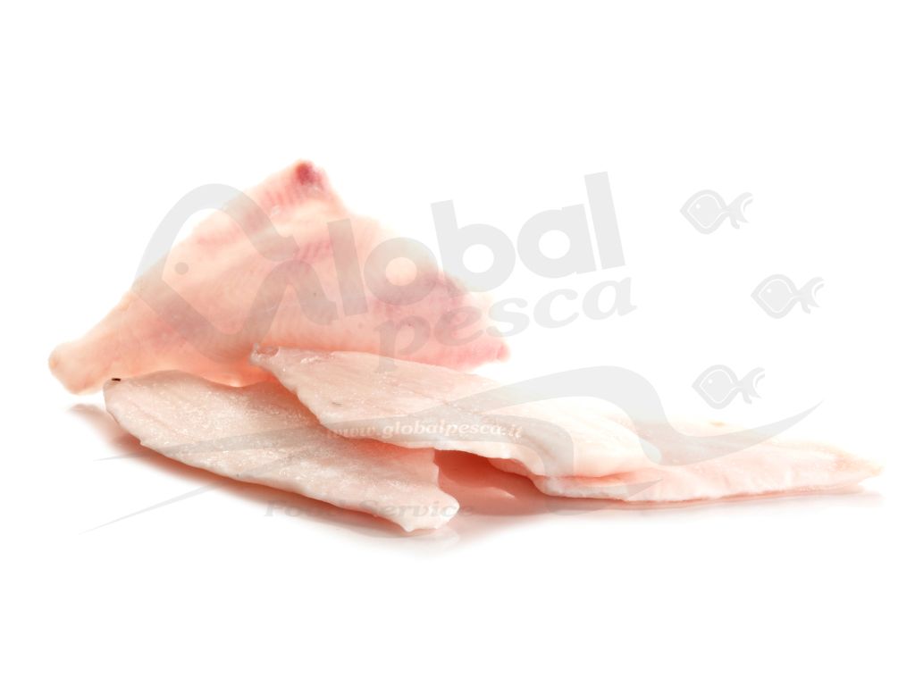 PLATESSA FILETTI 2A CP #