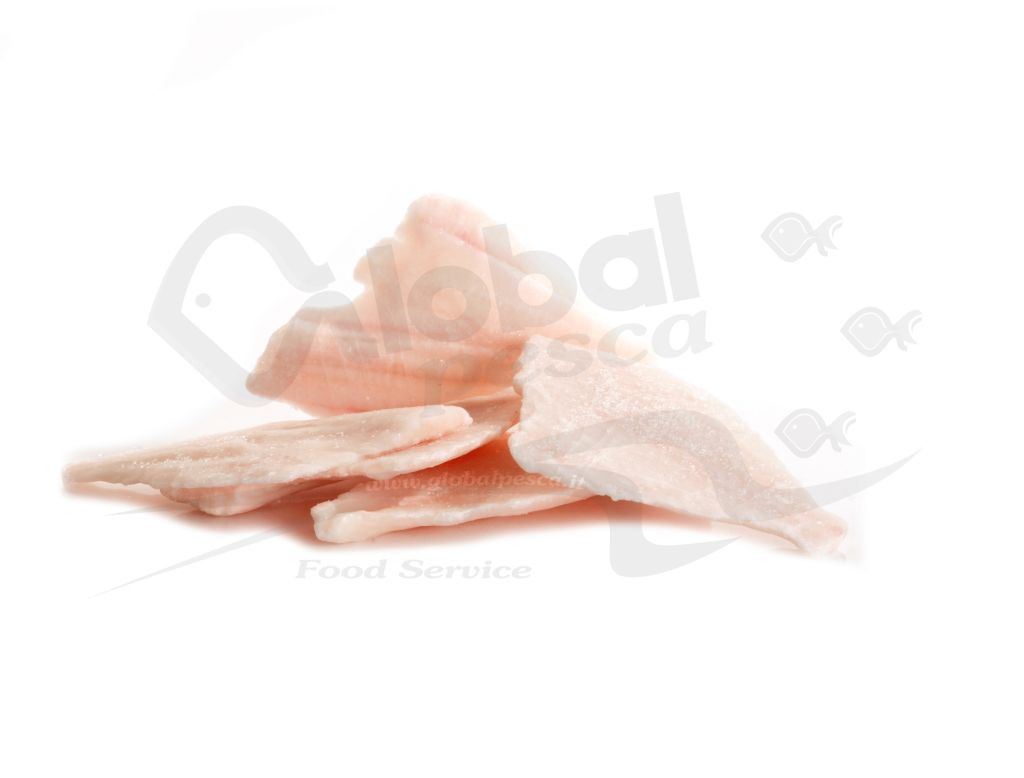 PLATESSA FILETTI 3A PB #