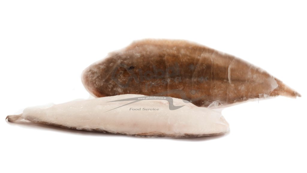 SOGLIOLA INTERA 3A 350-400g 3,5kg