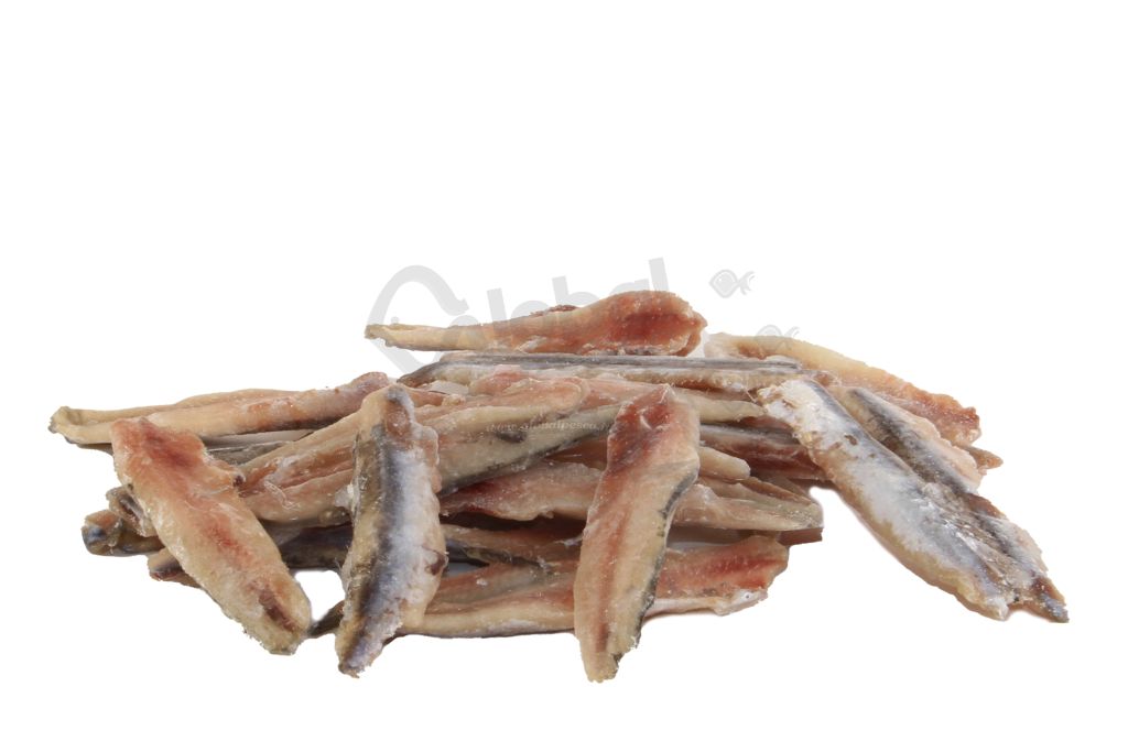 ALICE DECAPITATA EVISCERATA  MEDITERRANEO 4,5 kg