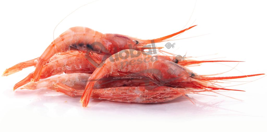 GAMBERO ROSA SICILIA 3 CO