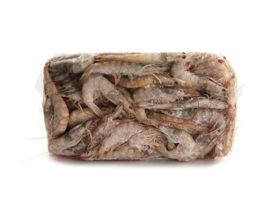 MAZZANCOLLA TROP ECUADOR C/T 50/60 6X 2 kg